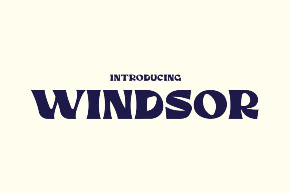 Windsor: A Groovy Display Font for Standout Campaign Visuals